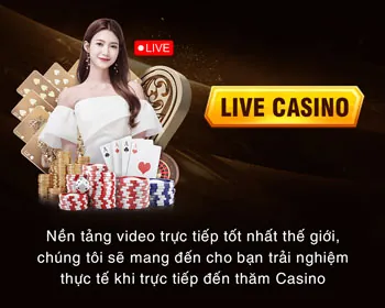 Tin tức